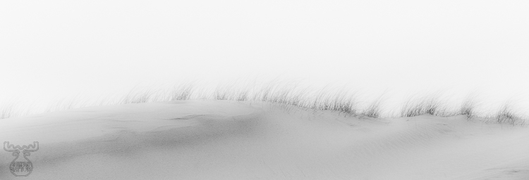 10006 - Dune hair - -