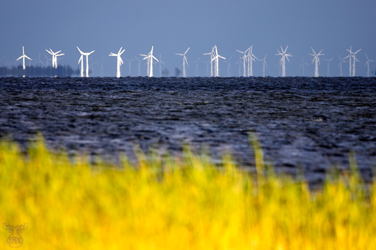 1224 - Far Winds - -