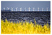  1224 - Far Winds - - 
