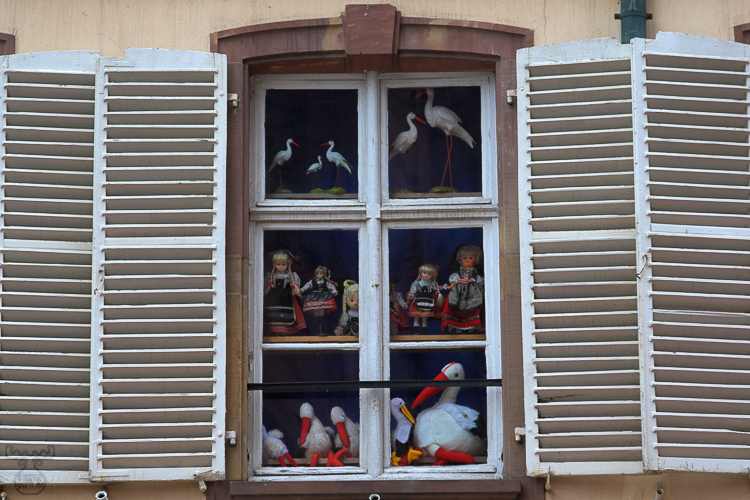 1468 - Storks - Störche