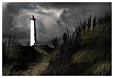  1588 - Road to Light - Der Weg zum Licht 