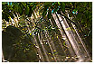  1794 - Array of Light - Lichtvorhang 