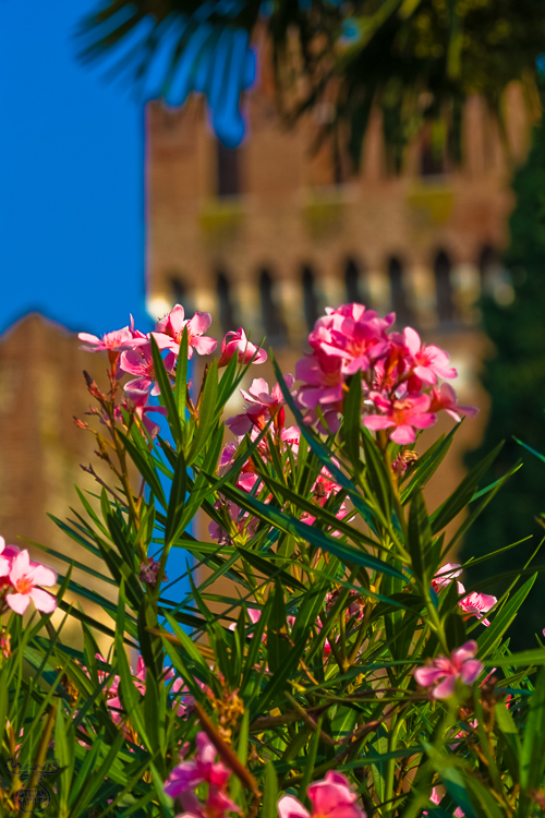 1884 - Lazise Castle - -