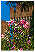  1884 - Lazise Castle - - 