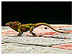  2059 - Ed - - 