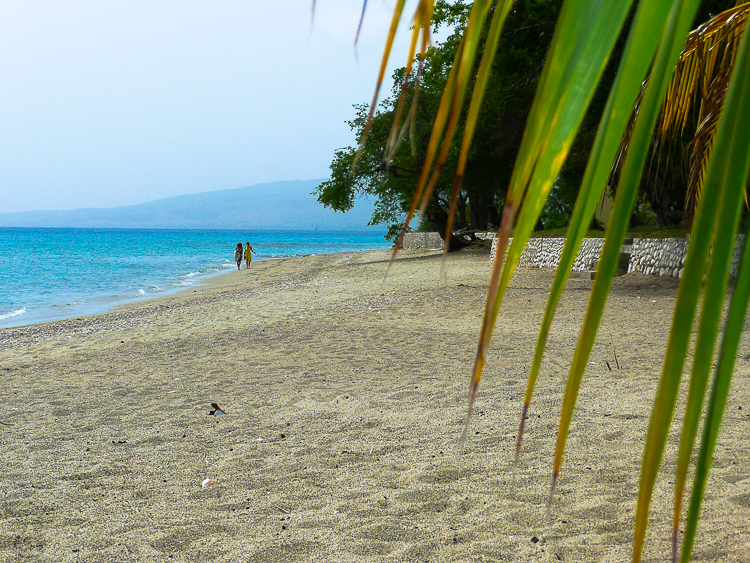 2075 - Carribean dream - -