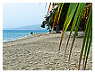  2075 - Carribean dream - - 