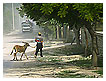 2079 - Coexistence - - 