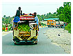  2090 - Mango - - 