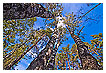  2256 - Upwards perspective - - 