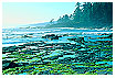  227 - Pacific Coast - - 