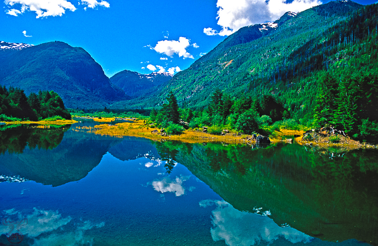 230 - Buttle Lake - -