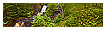  2404 - Byklevsfallet - - 