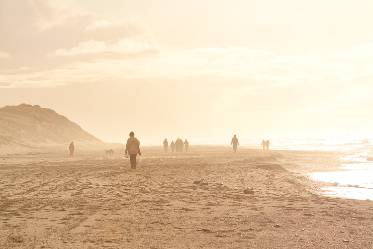 2474 - Sea of foggy zombies - -