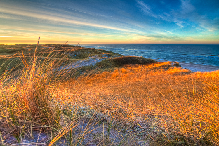 2495 - Sunrise over marram grass - Sonnenaufgang über Dünengras