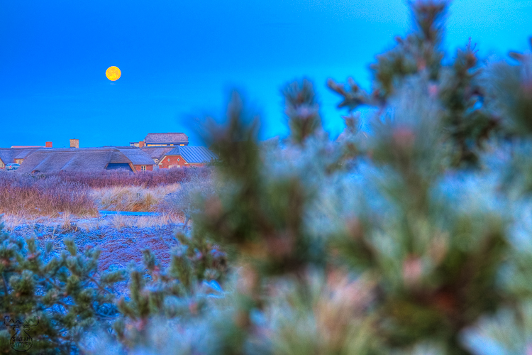 2516 - Cold moon - -