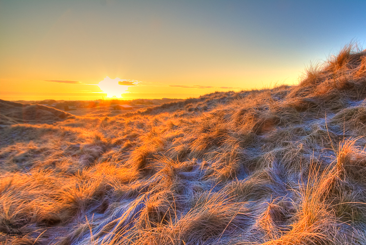 2524 - Dune sunrise - -