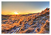  2524 - Dune sunrise - - 