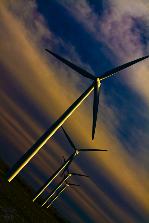 2724 - Wind of future - -