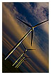  2724 - Wind of future - - 