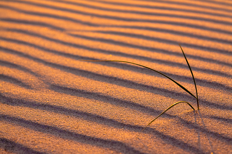 2733 - Sand shower - -