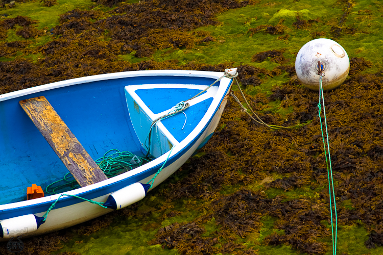 2853 - Low tide - Ebbe