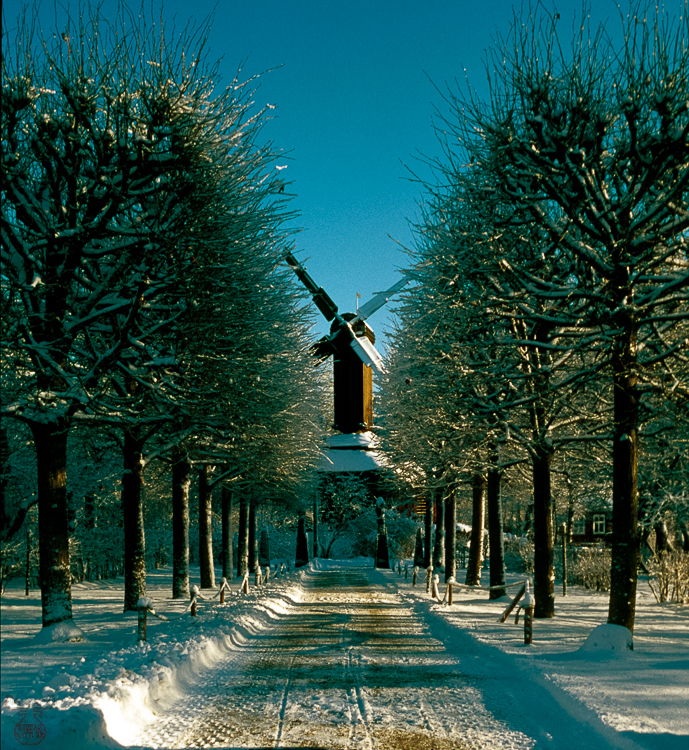 292 - Snow avenue - Schnee Allee