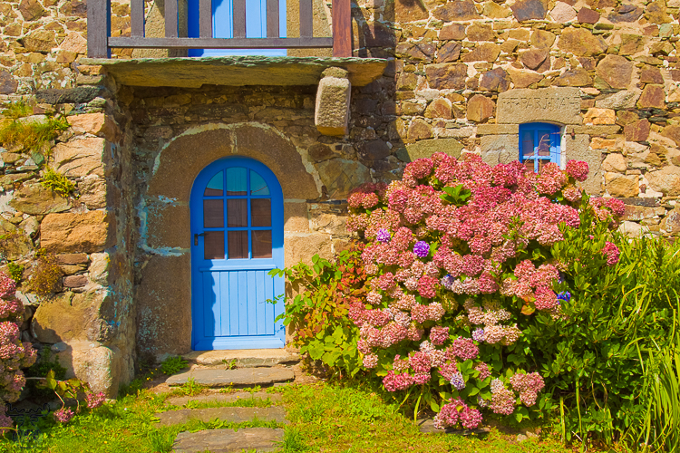2996 - Hydrangea and stone - Hortensien und Stein