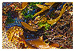  3054 - Sea salad - Meeressalat 