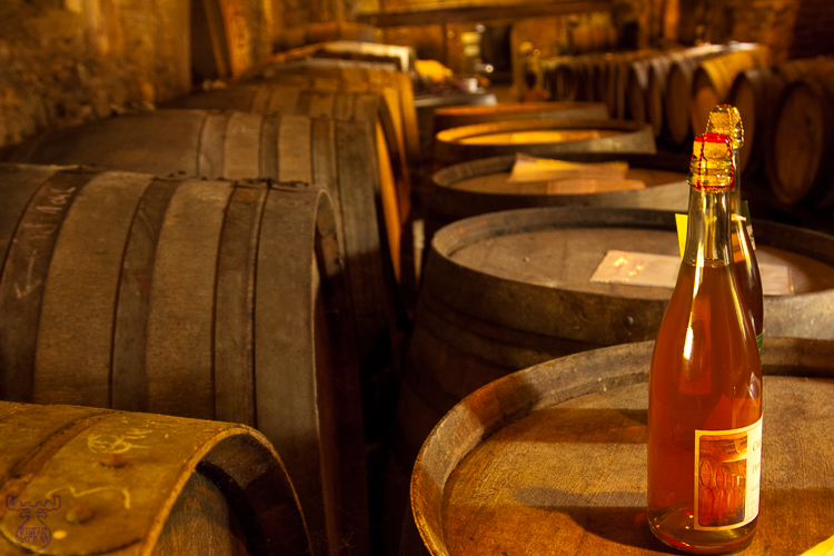 3061 - Cidre cellar - -