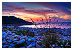  3084 - Plage du Guerzit - - 