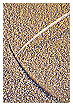  3193 - Sundial - Sonnenuhr 