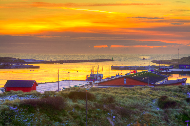 3203 - Hvide Sande Harbor - -
