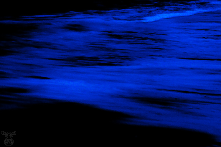 3210 - Waveart - Cool motion III - -