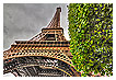  3306 - Rising up to the sky - - 
