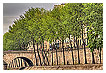 3317 - Seine river bank - - 