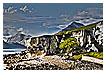  3736 - Elgol Home - - 