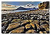  3737 - Stony Beach - - 