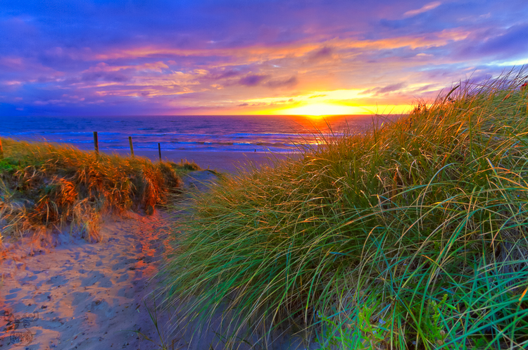 3966 - Final Sunset - Der letzte Sonnenuntergang