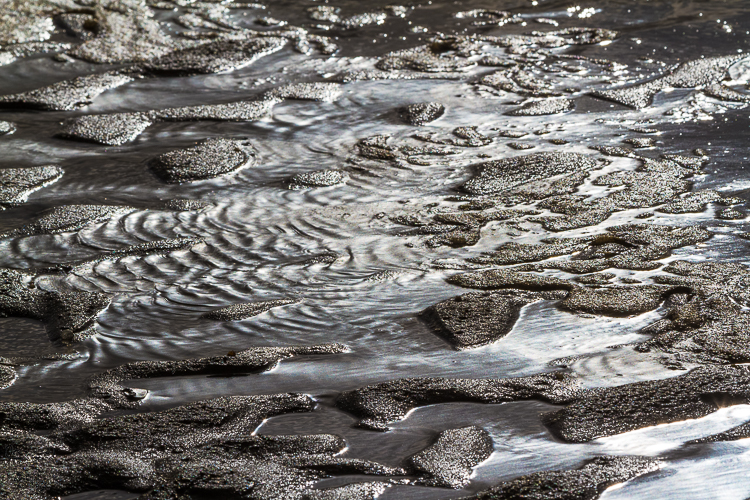4031 - Wave Creativity - -