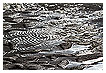  4031 - Wave Creativity - - 