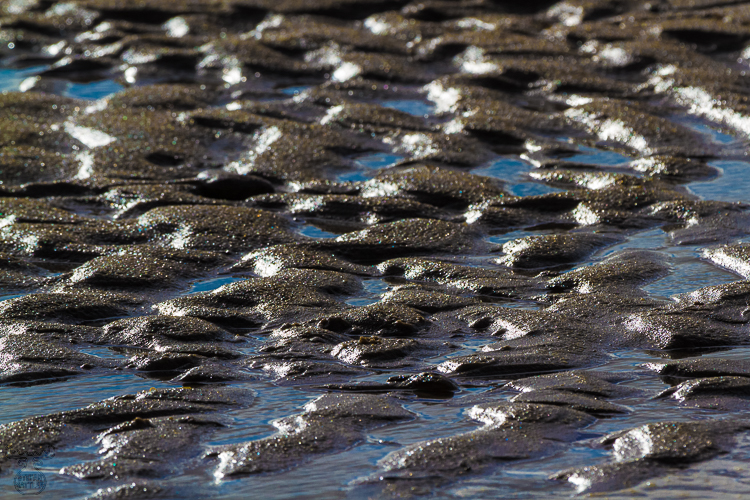 4032 - Hilly sandscape - -