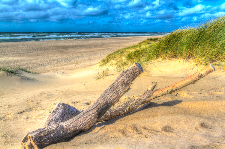 4043 - Wooden Left Over - -