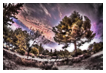  4147 - La Vanade Garden - - 