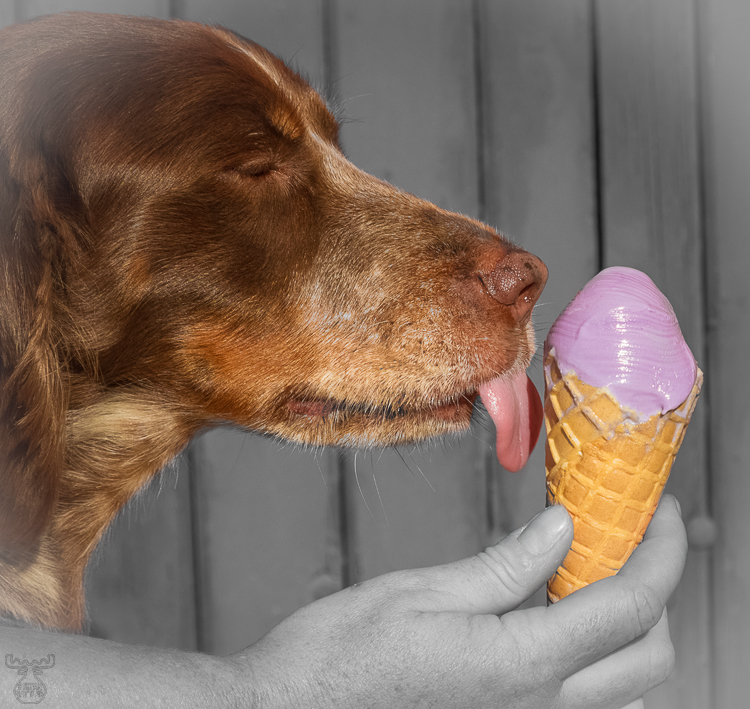 4201 - Lavender Icecream - -