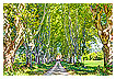 4213 - Bright Ave - - 