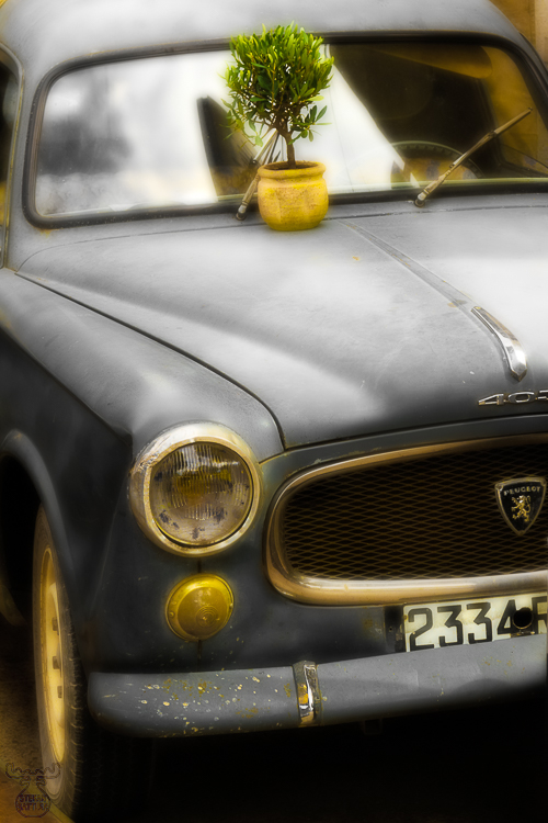 4234 - Peugeot Plant - -