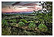  4260 - Les Baux View - - 