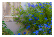  4623 - Blue frontier - - 