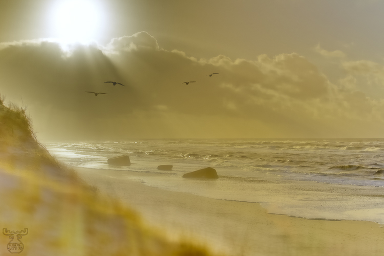 4724 - Prevailing peace - -